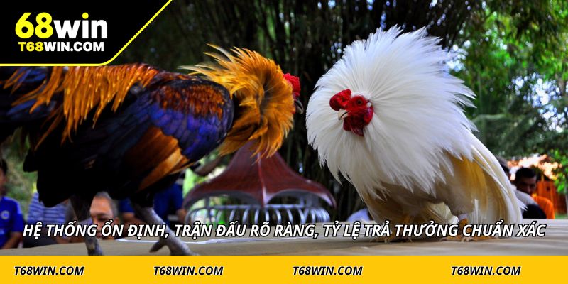 Hệ thống ổn định, trận đấu rõ ràng, tỷ lệ trả thưởng chuẩn xác
